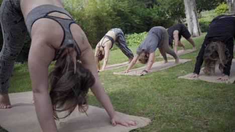 Junge-Leute-Praktizieren-Yoga-Im-Park